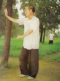 Mistr Zhu Zhan Hua